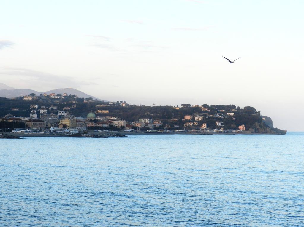 Park Hotel Albisola Superiore Εξωτερικό φωτογραφία